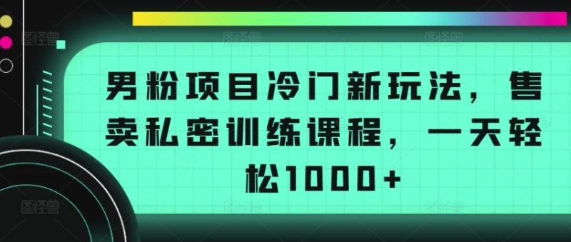男粉项目冷门新玩法,售卖私密训练课程,一天轻松1000+睿集资源栈-网赚项目-副业赚钱-互联网创业-资源整合睿集资源栈