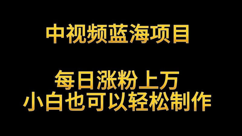 中视频蓝海项目,解读英雄人物生平,每日涨粉上万,小白也可以轻松制作,月入过万睿集资源栈-网赚项目-副业赚钱-互联网创业-资源整合睿集资源栈