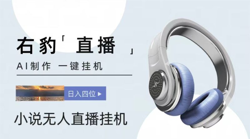 右豹小说无人直播挂机吸金项目,简单易行收益稳定, 月入1000+睿集资源栈-网赚项目-副业赚钱-互联网创业-资源整合睿集资源栈