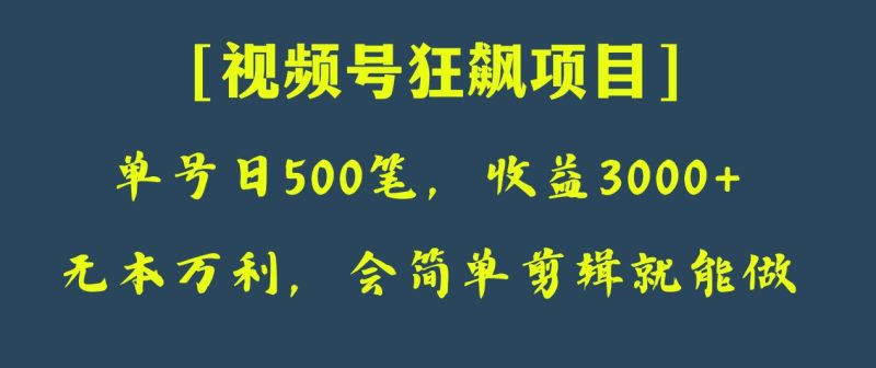 日收款500笔,纯利润3000+,视频号狂飙项目!睿集资源栈-网赚项目-副业赚钱-互联网创业-资源整合睿集资源栈