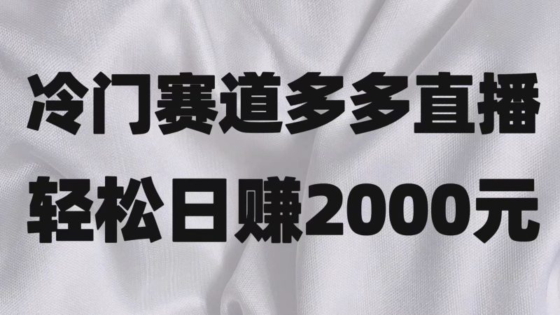 冷门赛道拼多多直播项目,简单念稿子,日收益2000+睿集资源栈-网赚项目-副业赚钱-互联网创业-资源整合睿集资源栈