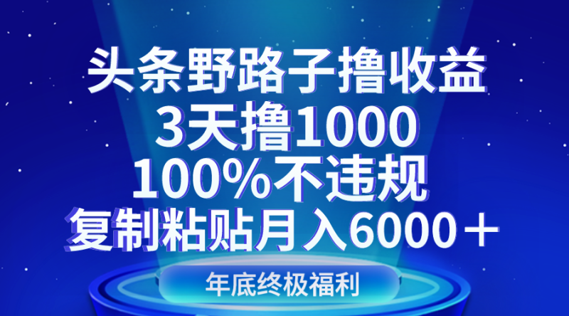 头条野路子撸收益,3天撸1000,100%不违规,复制粘贴月入6000+睿集资源栈-网赚项目-副业赚钱-互联网创业-资源整合睿集资源栈