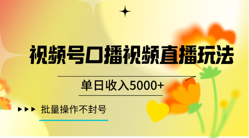 视频号口播视频直播玩法单日收入5000+,一种可以单号持续操作的玩法睿集资源栈-网赚项目-副业赚钱-互联网创业-资源整合睿集资源栈