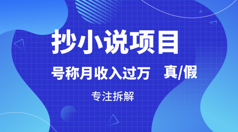 抄小说项目,号称月入过万,到底是否真实,能不能做,详细拆解睿集资源栈-网赚项目-副业赚钱-互联网创业-资源整合睿集资源栈