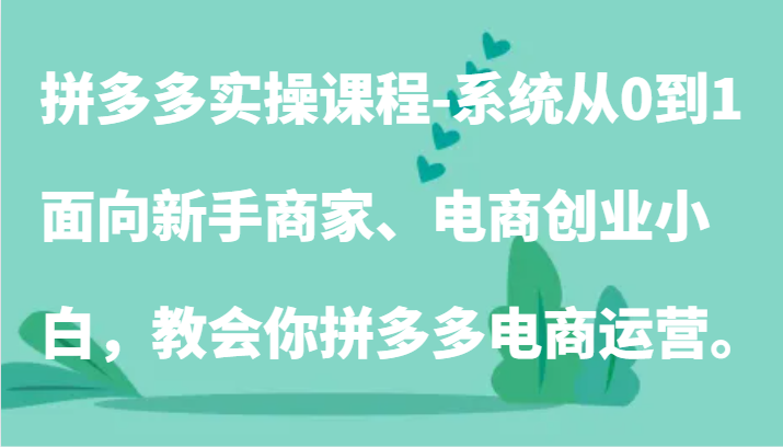 拼多多实操课程-系统从0到1，面向新手商家、电商创业小白，教会你拼多多电商运营。睿集资源栈-网赚项目-副业赚钱-互联网创业-资源整合睿集资源栈