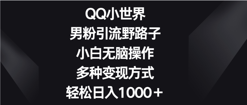 QQ小世界男粉引流野路子,小白无脑操作,多种变现方式轻松日入1000+睿集资源栈-网赚项目-副业赚钱-互联网创业-资源整合睿集资源栈