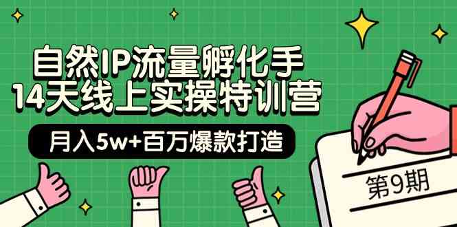 自然IP流量孵化手14天线上实操特训营【第9期】月入5w+百万爆款打造 (74节)睿集资源栈-网赚项目-副业赚钱-互联网创业-资源整合睿集资源栈
