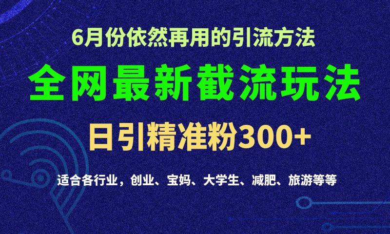 2024全网最新截留玩法,每日引流突破300+睿集资源栈-网赚项目-副业赚钱-互联网创业-资源整合睿集资源栈