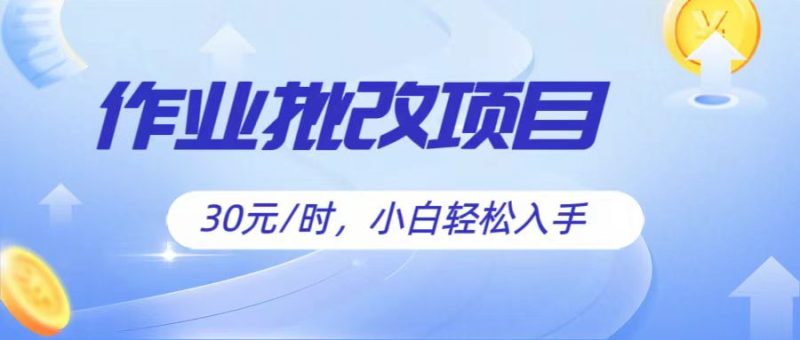 作业批改项目30元/时,简单小白轻松入手,非常适合兼职睿集资源栈-网赚项目-副业赚钱-互联网创业-资源整合睿集资源栈