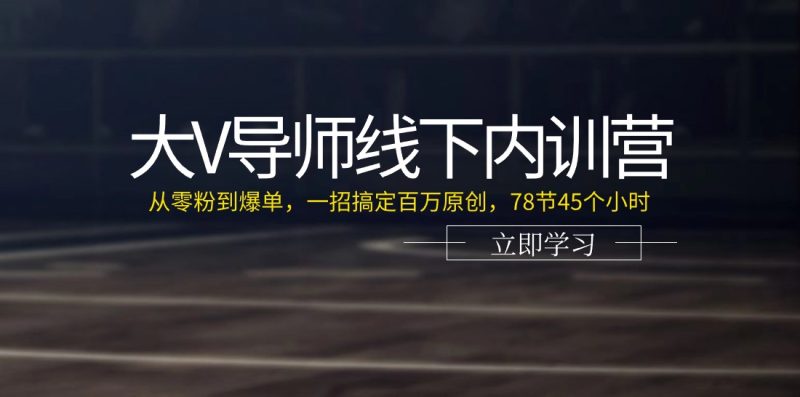 大V导师线下内训营:从零粉到爆单,一招搞定百万原创(78节45个小时)睿集资源栈-网赚项目-副业赚钱-互联网创业-资源整合睿集资源栈