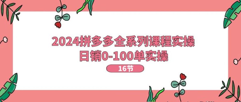 2024拼多多全系列课程实操,日销0-100单实操【16节课】睿集资源栈-网赚项目-副业赚钱-互联网创业-资源整合睿集资源栈