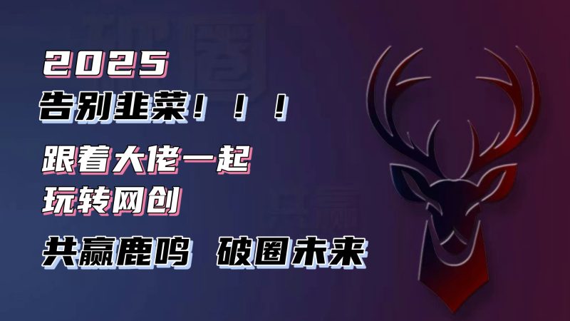 告别韭菜!2025知识付费风口项目,小白也能闭眼操作!睿集资源栈-网赚项目-副业赚钱-互联网创业-资源整合睿集资源栈