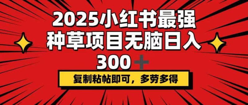 2025小红书最强种草项目,无脑日入300+,复制粘帖即可,多劳多得睿集资源栈-网赚项目-副业赚钱-互联网创业-资源整合睿集资源栈