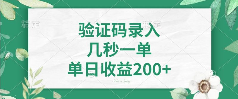 验证码录入,几秒一单,单日收益200+睿集资源栈-网赚项目-副业赚钱-互联网创业-资源整合睿集资源栈