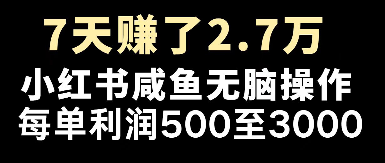 最赚钱项目之一，2025爆火，逆风翻盘！睿集资源栈-网赚项目-副业赚钱-互联网创业-资源整合睿集资源栈