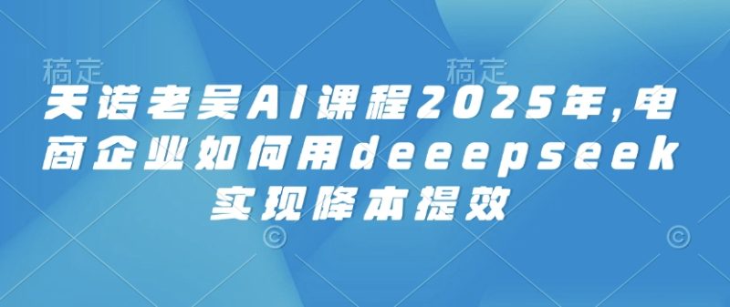 天诺老吴AI课程2025年,电商企业如何用deeepseek实现降本提效睿集资源栈-网赚项目-副业赚钱-互联网创业-资源整合睿集资源栈
