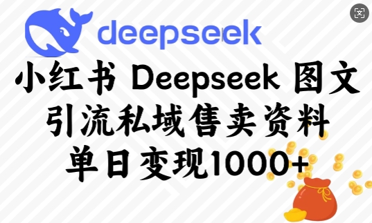 小红书Deepseek图文引流私域售卖资料，单日变现多张睿集资源栈-网赚项目-副业赚钱-互联网创业-资源整合睿集资源栈