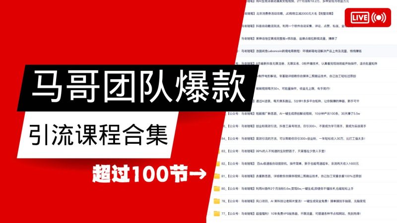 马哥团队【122节】最全项目爆款引流课程合集【持续更新】睿集资源栈-网赚项目-副业赚钱-互联网创业-资源整合睿集资源栈