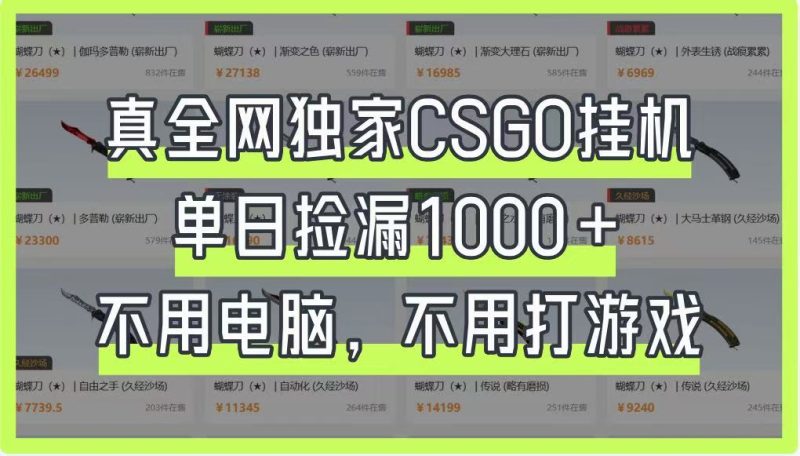 真全网独家CSGO挂机,单日捡漏1000+,不用电脑,不用养号睿集资源栈-网赚项目-副业赚钱-互联网创业-资源整合睿集资源栈